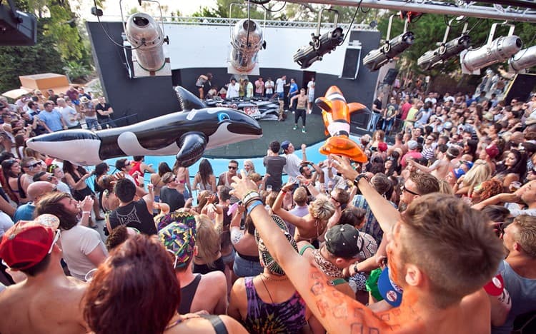 Zoo Project at Benimussa Park