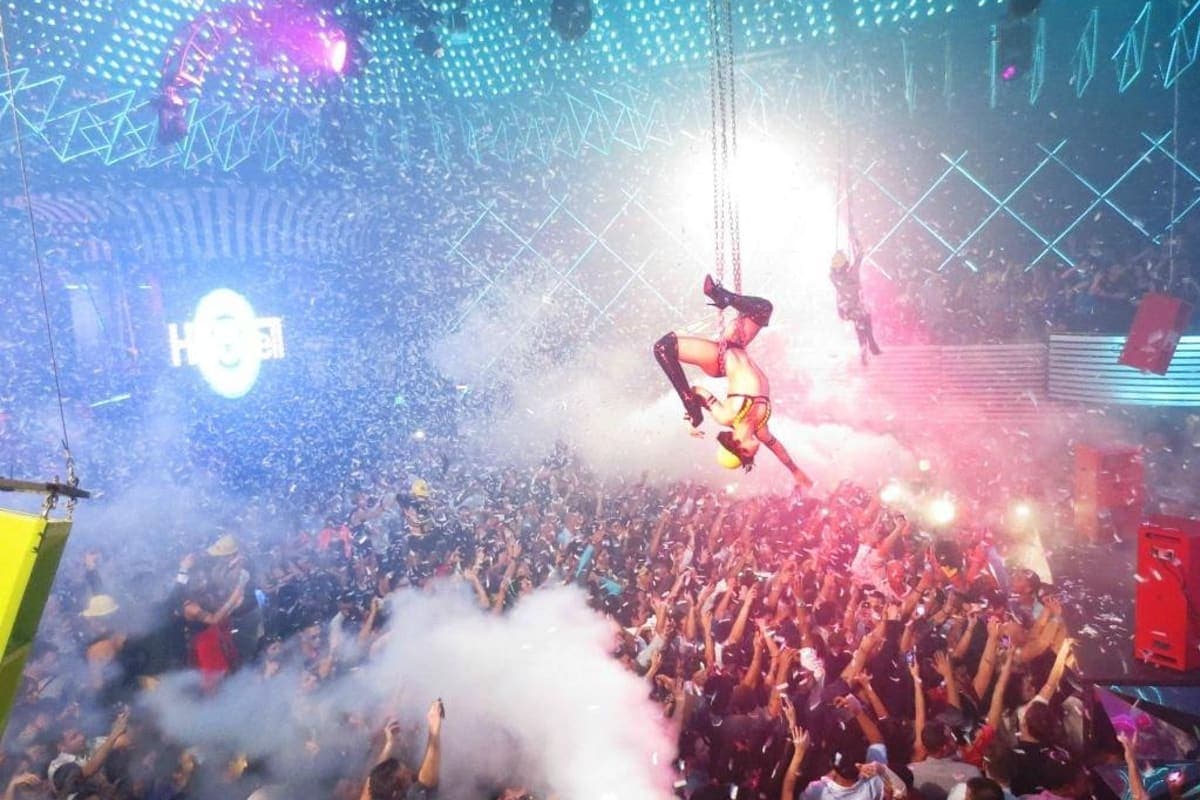 Private Mansion Party