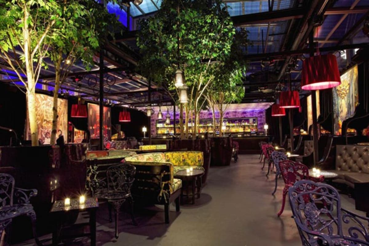 Provocateur New York