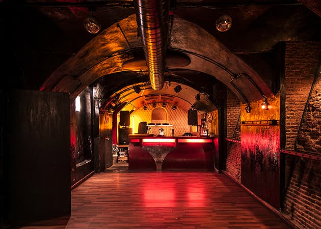 El Perro de la Parte de Atrás del Coche